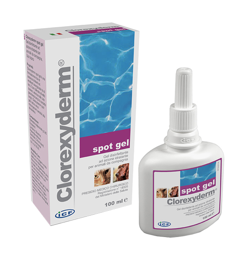 Clorexyderm spot gel 100 ml