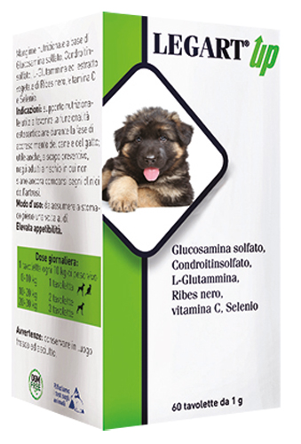 Legart up 60 compresse da 1 g