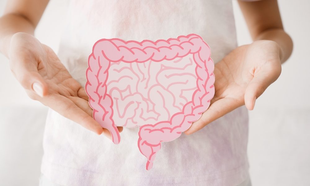 Colon irritabile e probiotici